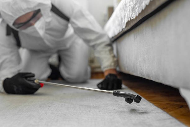 Professional Pest Control technician working in Mattawan, MI