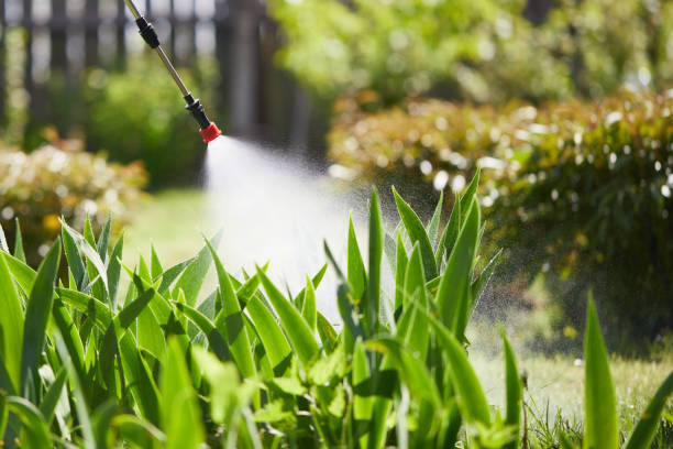 24/7 Emergency Pest Control experts in Mattawan, MI