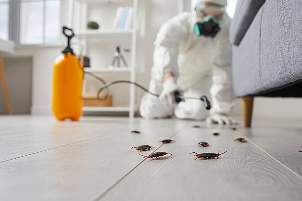 Affordable Pest Control solutions in Mattawan, MI