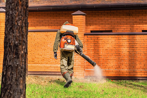 Top rated local Pest Control specialists in Mattawan, MI